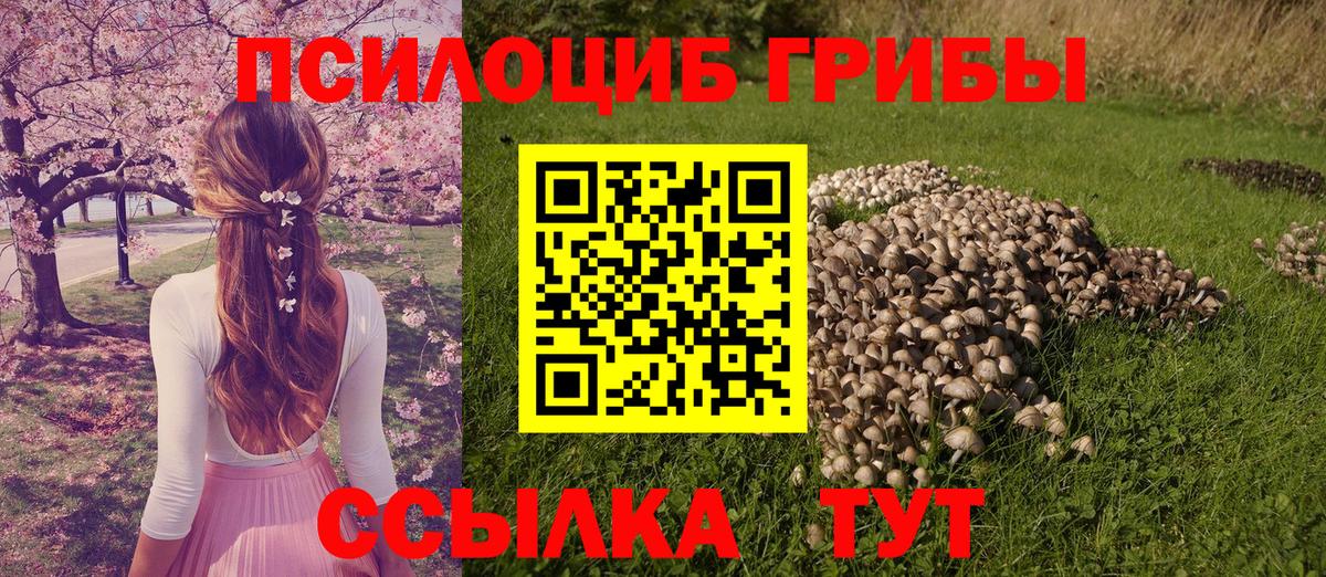 Клин  Псилоцибиновые грибы мицелий  Вход с VPN 